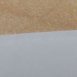 Meet your Posher, Joselyn